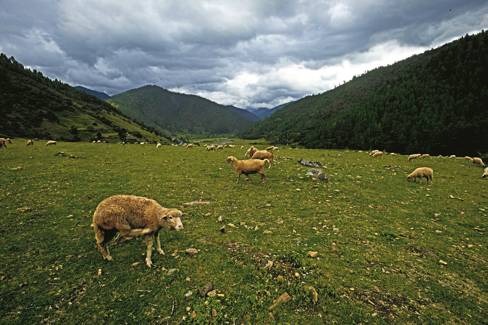 Arunachal Pradesh 13